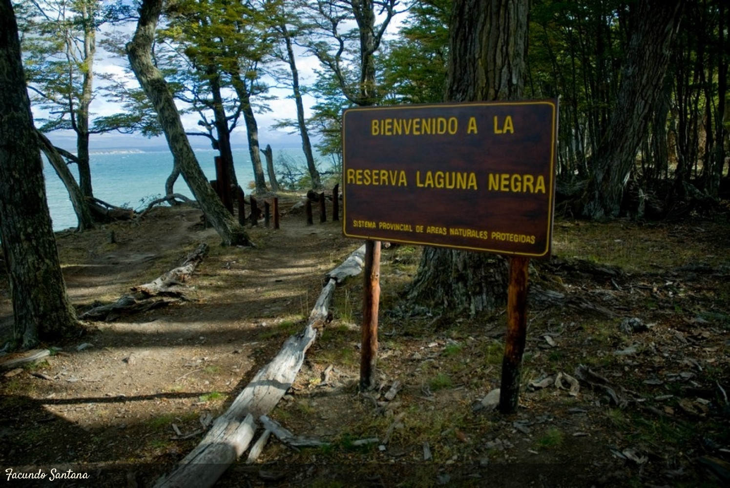 Sendero Laguna Negra | Fin del Mundo - Tierra del Fuego, Ushuaia, Antartida, Patagonia, Argentina
