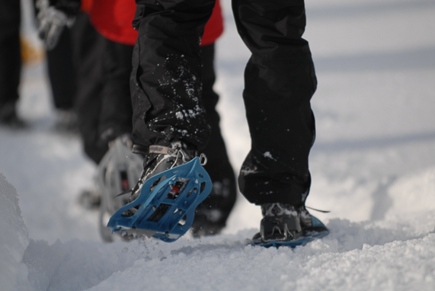 Caminatas en Raquetas de Nieve - Su Historia y Importancia