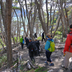 Coastal trail- National Park