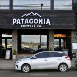 Patagonia Brewing